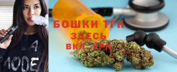 стаф Арсеньев