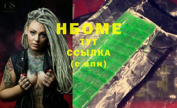 стаф Арсеньев