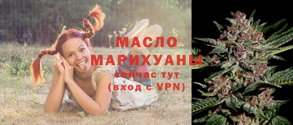 стаф Арсеньев