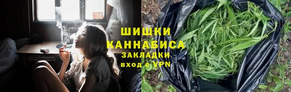 стаф Арсеньев