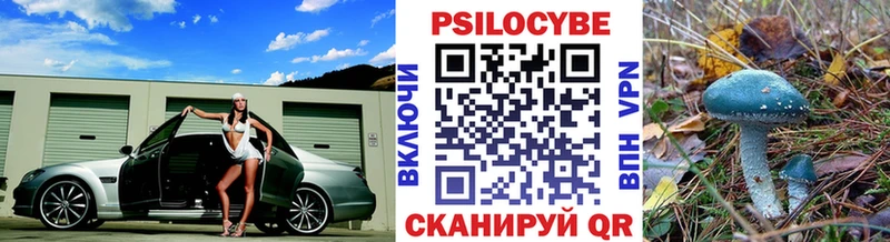 ОМГ ОМГ   Сибай  Галлюциногенные грибы Cubensis  как найти закладки 